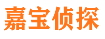 东河侦探公司